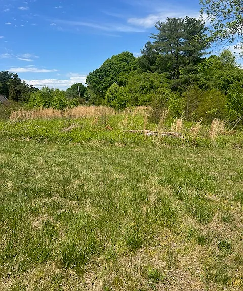 4320 Taylorsville Hwy — Photo 8