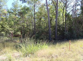 3 Magnolia Cemetary, Onalaska, TX 77360