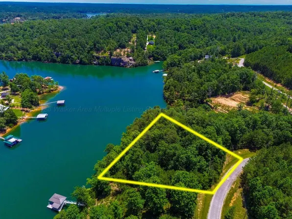 90 Sipsey Overlook Rd, Double Springs, AL 35553