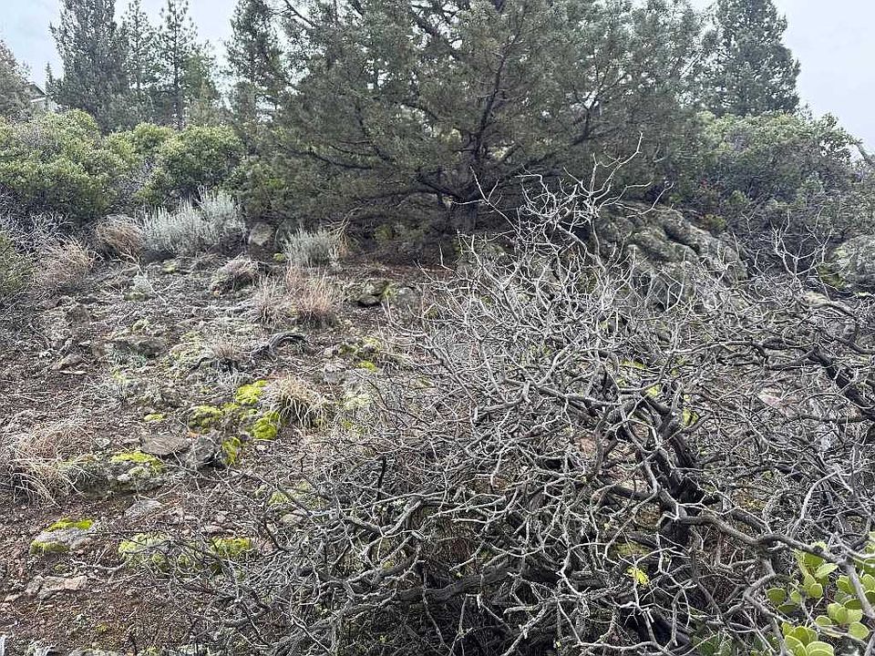 1st image of Unit Condor #4-lot 405