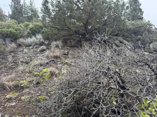 Unit Condor #4-lot 405, Weed, CA 96094