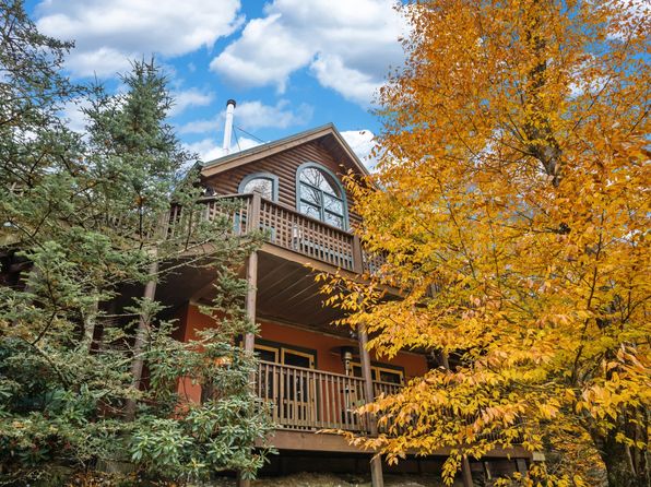 49 Dandelion Ln, Banner Elk, NC 28604