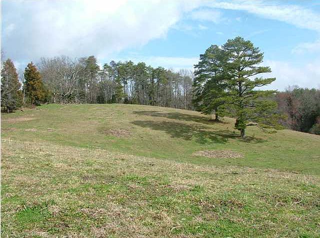 56 Dividing Ridge Rd, Spring City, TN 37381 | Zillow