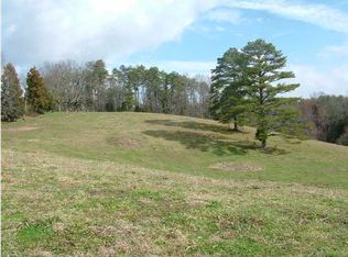 56 Dividing Ridge Rd, Spring City, TN 37381