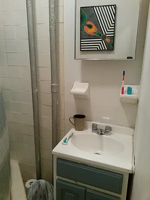 Rented by Urban Pads | media 33