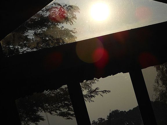 kitchen view backyard