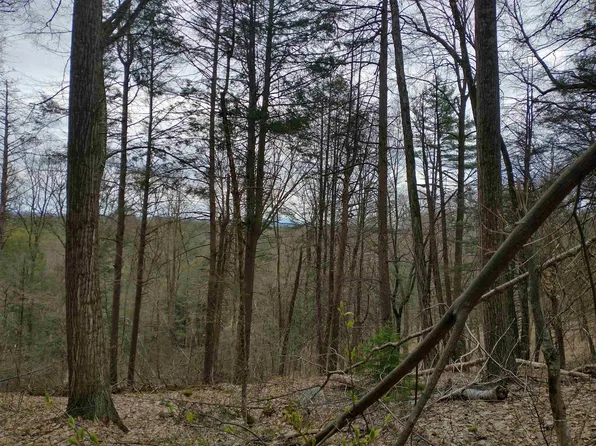 0 Allyn Road, Putney, VT 05346