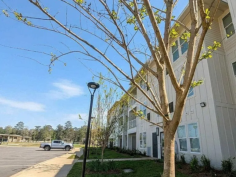 The Grove at Bradford Hills — Photo 4