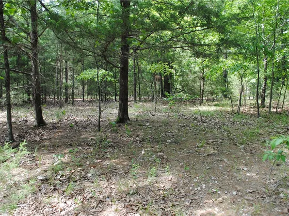 Lots 76 & 77 Robin Rd, Rogers, AR 72756