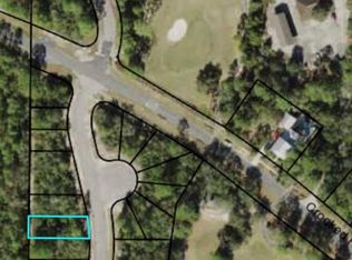 113 Spoonbill Ct, Carrabelle, FL 32322