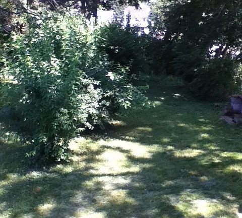 back yard for garden