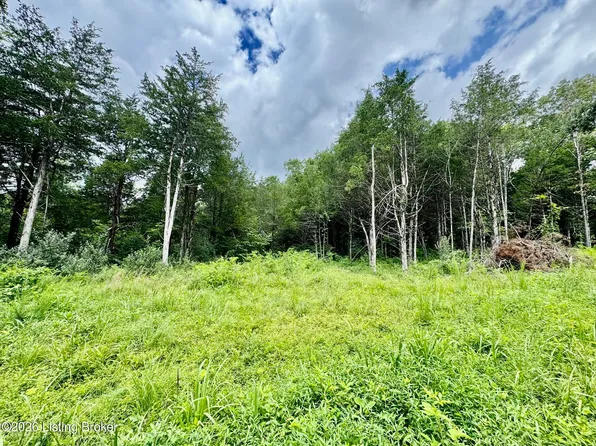 9501 5b Hwy #555, Willisburg, KY 40078