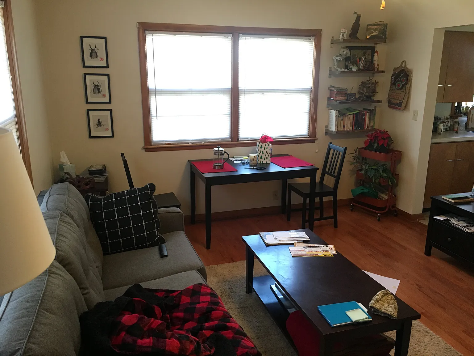1 bed, 540 sqft, $745 — Photo 4