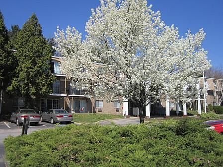 5th image of 70 Oaklawn Ave