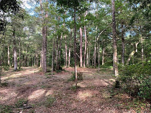 3rd image of School Section Rd