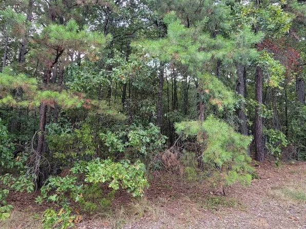 258 Snead Dr, Fairfield Bay, AR 72088