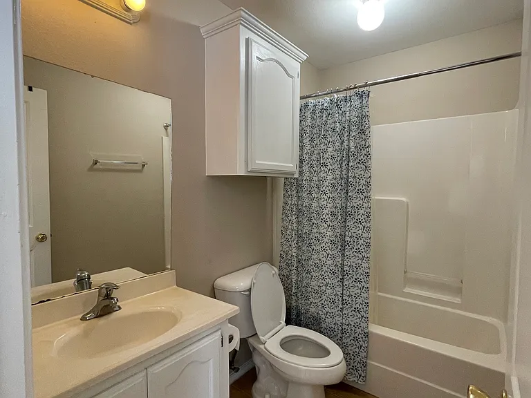 master's bathroom