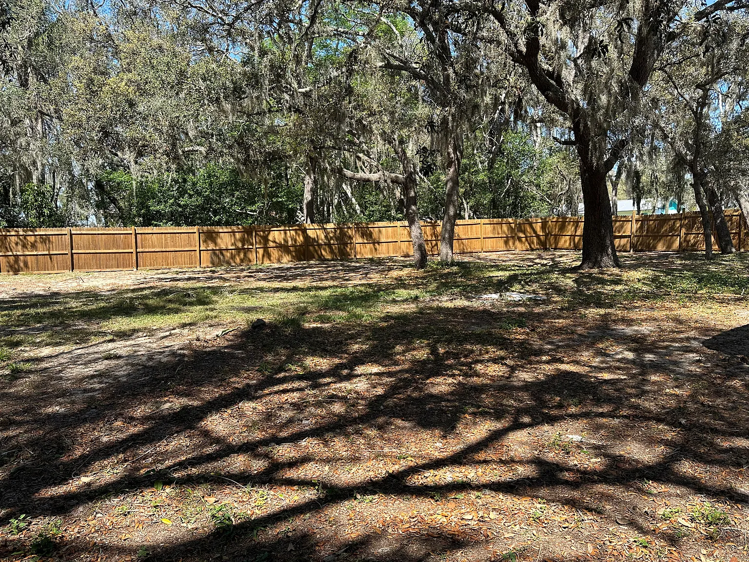 3 bed, 1148 sqft, $1,600 — Photo 4