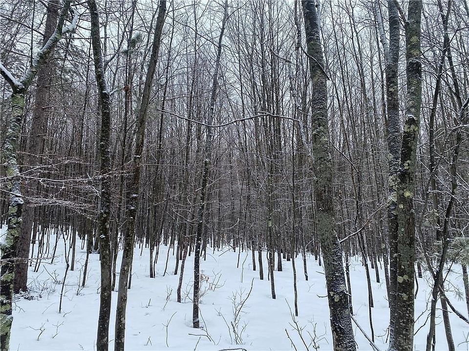 2nd image of Near Seven Mile Road