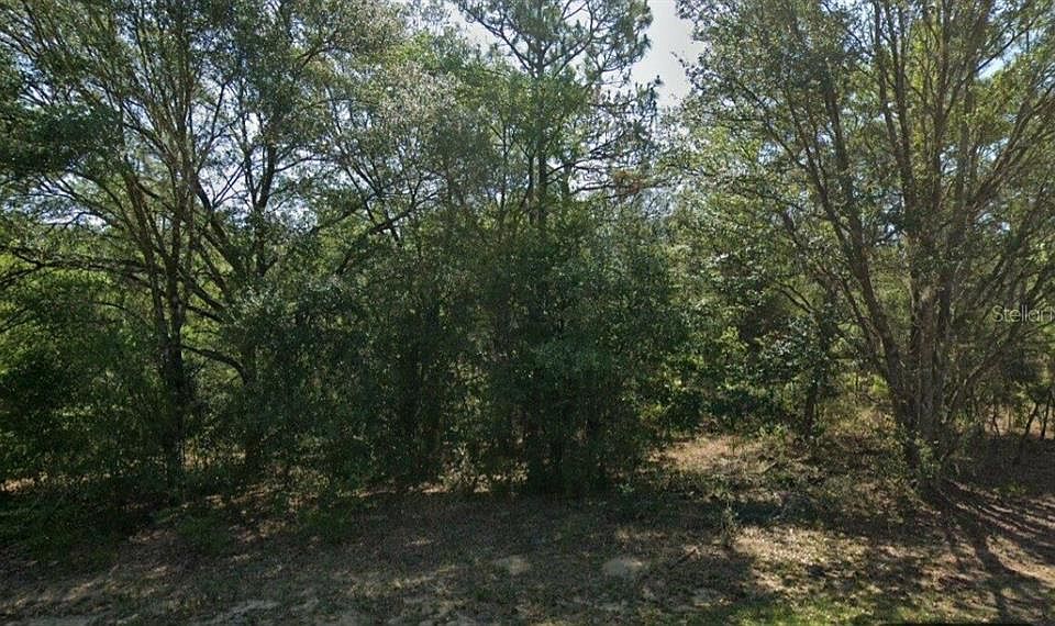 1st image of 9563 N Lily Dr