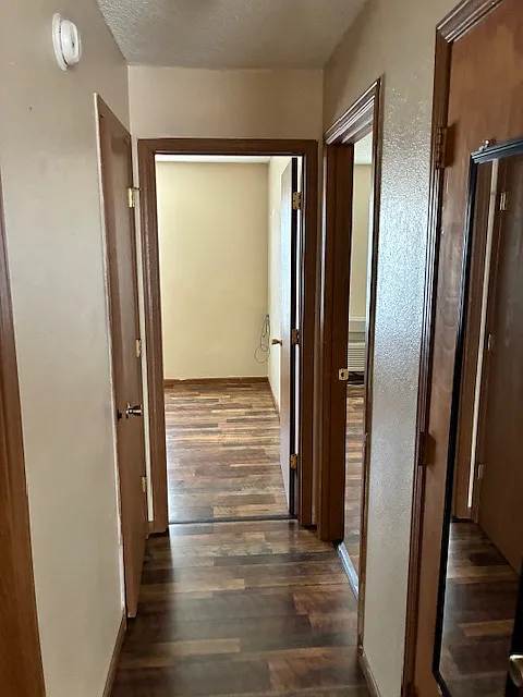 2 bed, 800 sqft, $700 — Photo 3