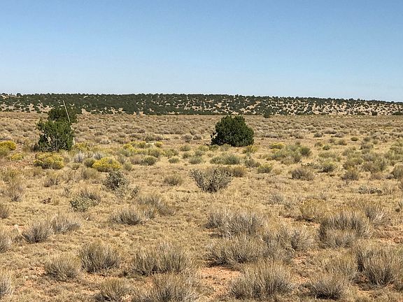 3rd image of 10396 High Butte Dr