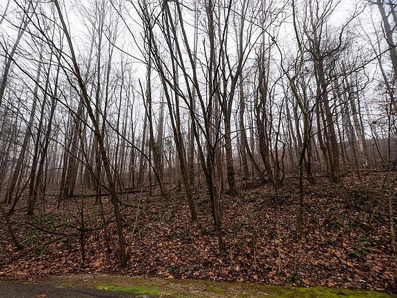 5th image of 1550 Fox Hollow Dr