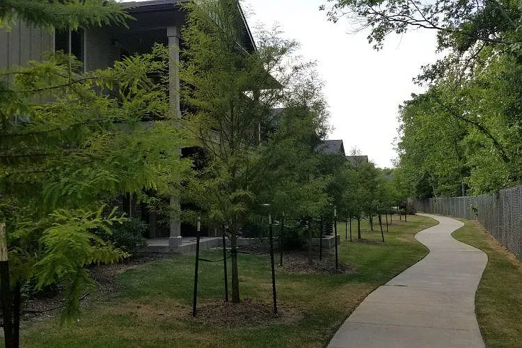 Cypress Springs — Photo 25