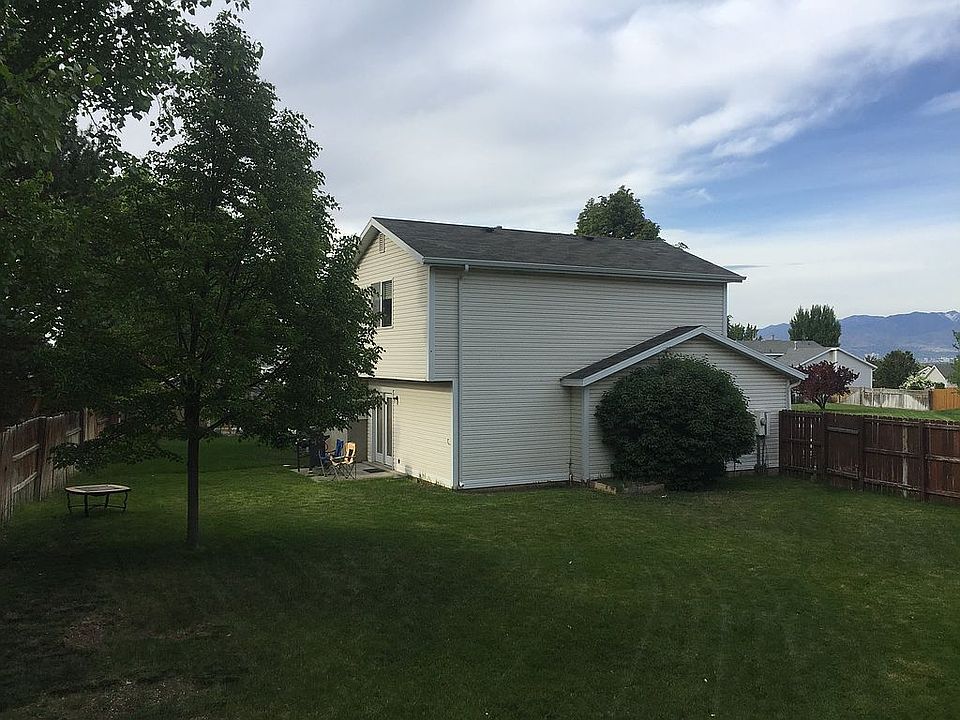 Gorgeous back yard