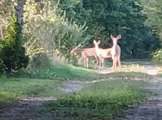 E Charles Rd, Ionia, MI 48846