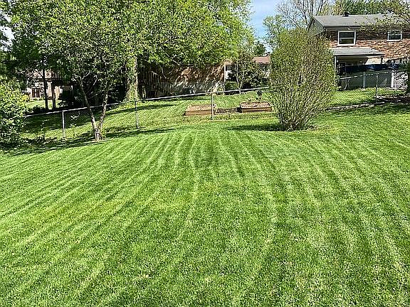 Left side of Backyard