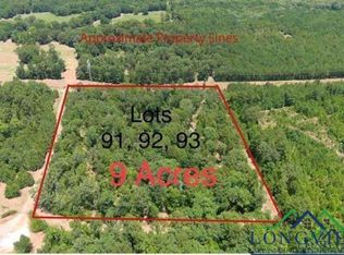 91-92 93 Frances Ln, Diana, TX 75640