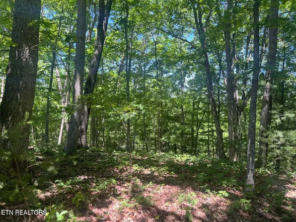 33 Camden Ct, Fairfield Glade, TN 38558