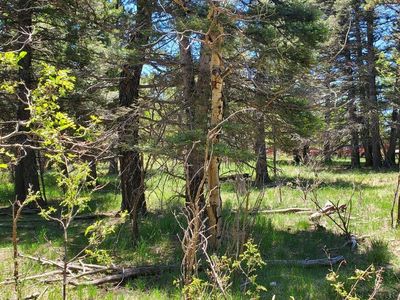 0 Spanish Peaks Dr W, Aguilar, CO, 81020