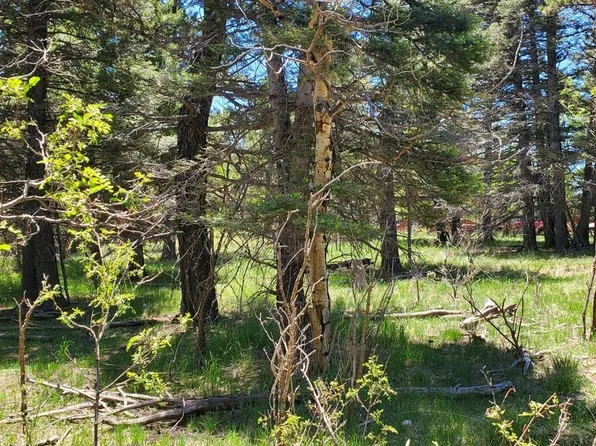 0 Spanish Peaks Dr W, Aguilar, CO 81020