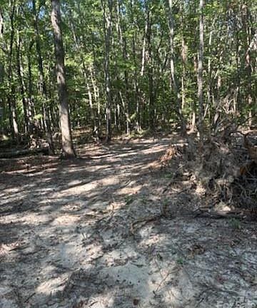 4th image of Bud Arndt Rd