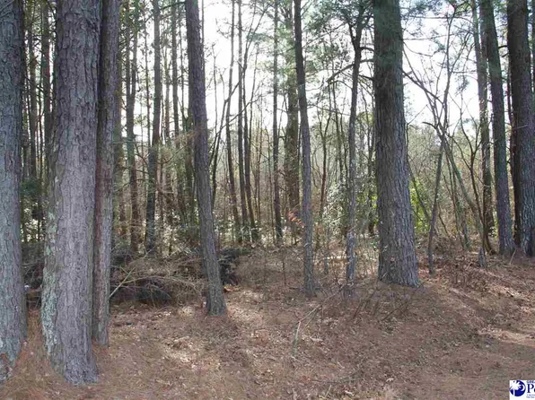 New Hopewell Rd, Hartsville, SC 29550