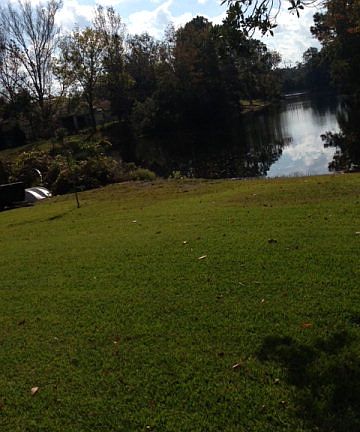 5th image of 76 Flamingo Dr