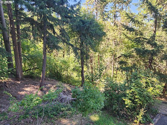 3rd image of 202 Foxtail Dr