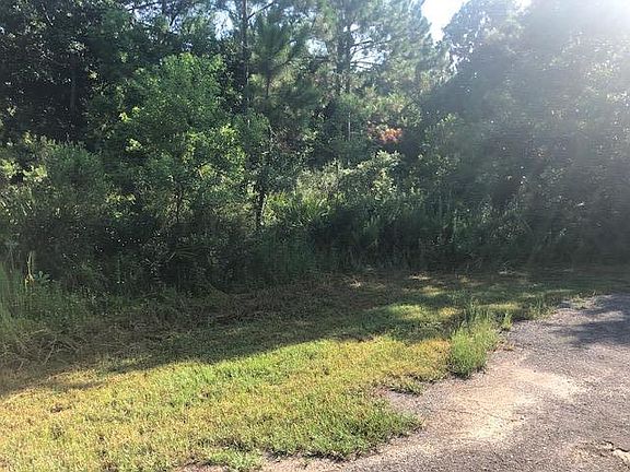 2nd image of 4391 Carol Ct