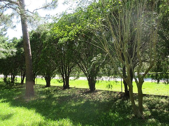 Row of manicured trees along front of property.