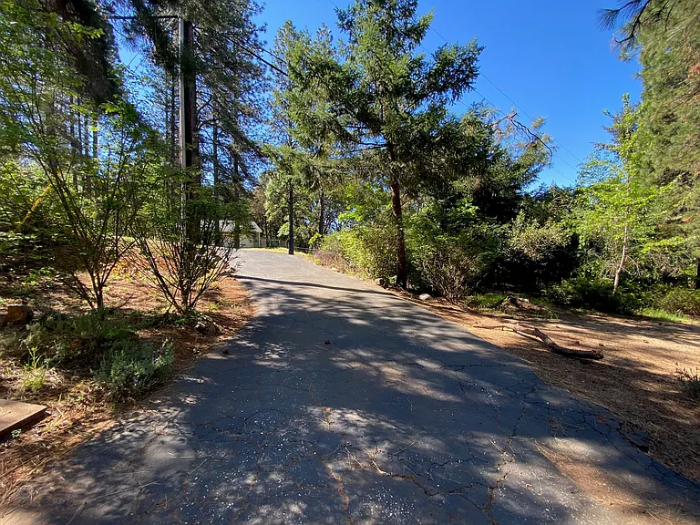 10959 Alta Sierra Dr — Photo 6