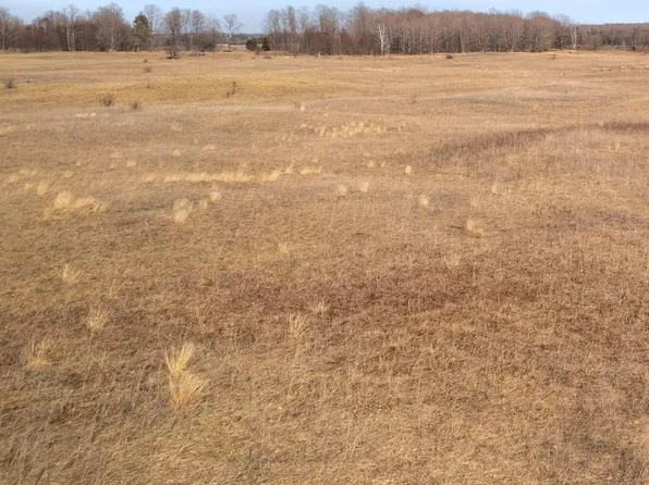 7443 Brady Rd Lot 3, Onaway, MI 49765