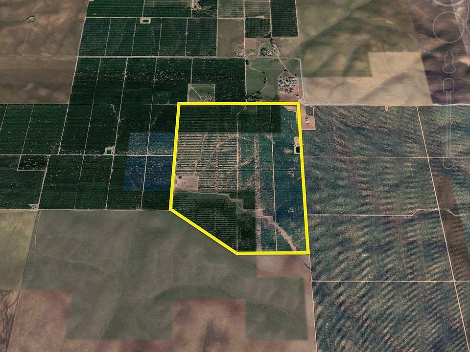 2nd image of 1 Organic Citrus #Ranch10