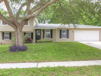 610 Valley Hill Dr, Brandon, FL, 33510