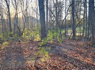 238 Marble Trace Ln, Lowgap, NC 27024