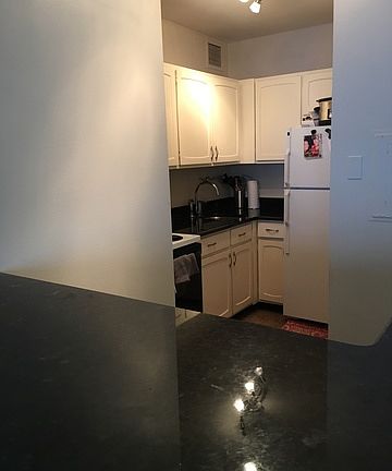 4th image of 777 N Michigan Ave APT 3605