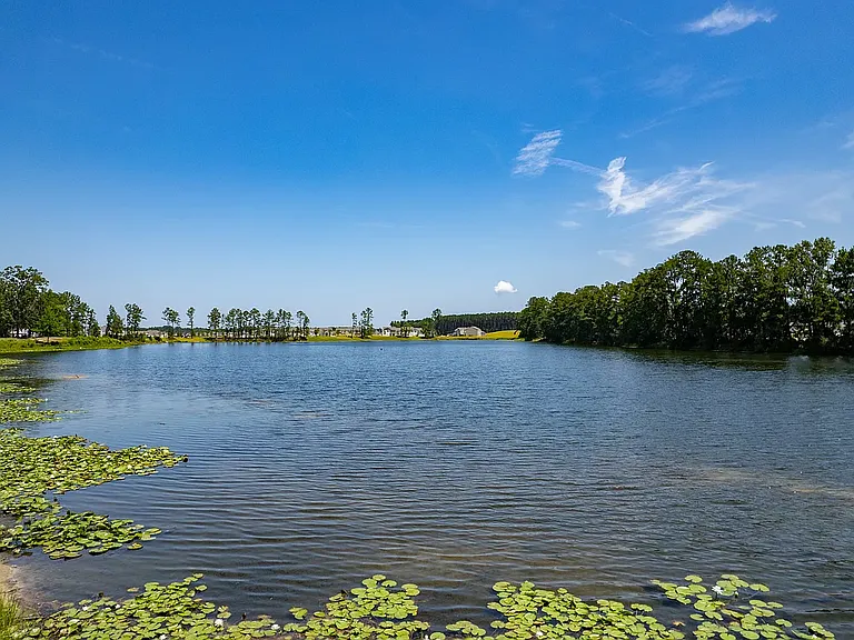Waterside at Rice Hope — Photo 18