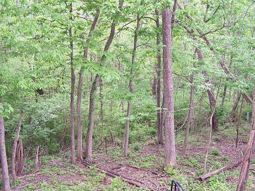 4th image of 1638 Fieldcrest Dr