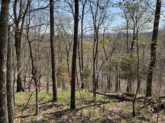 3rd image of 856 Wilderness Dr